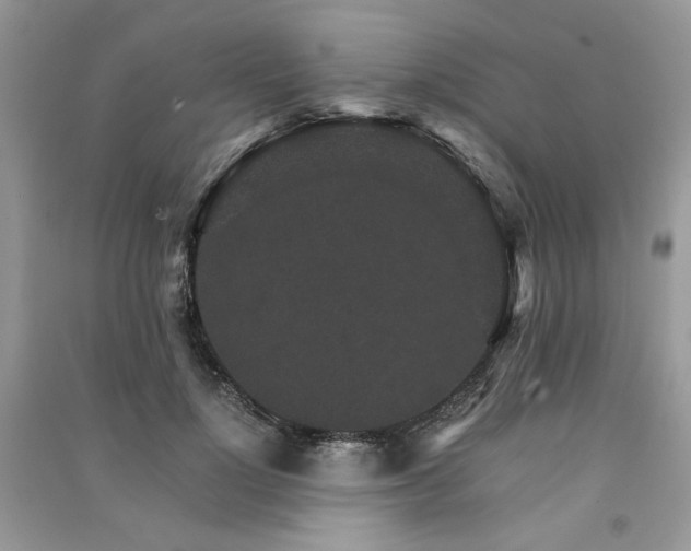 X0000091360748200708101419