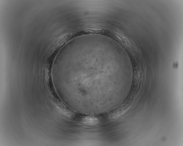X0000091360749200708101419