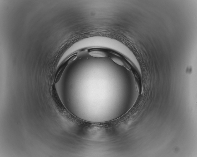 X0000091360750200708101419