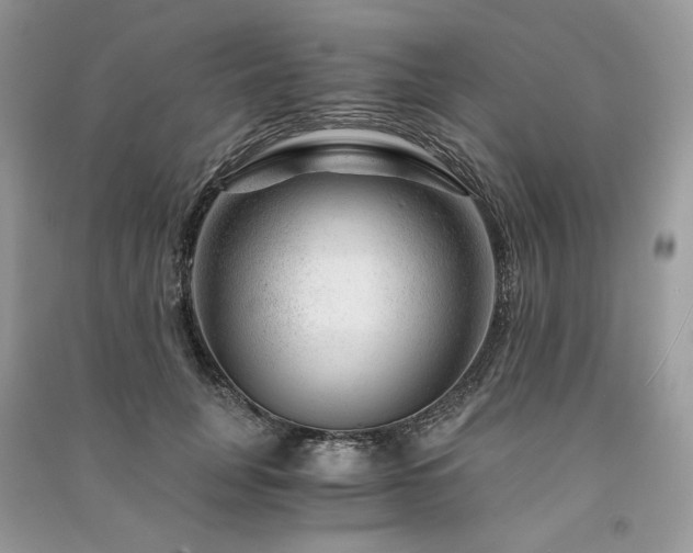 X0000091360751200708101419