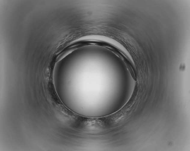 X0000091360752200708101419