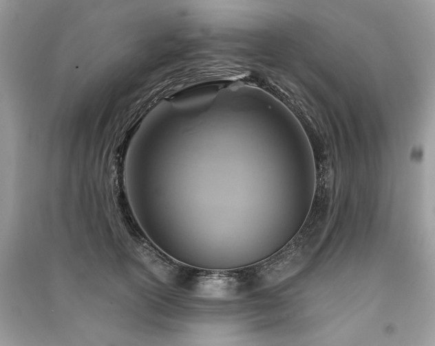 X0000091360754200708101419