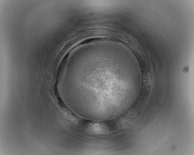 X0000091360755200708101419