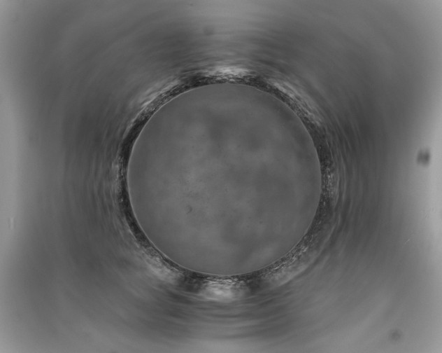 X0000091360757200708101419