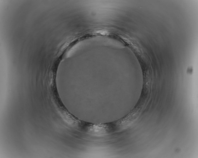 X0000091360758200708101419