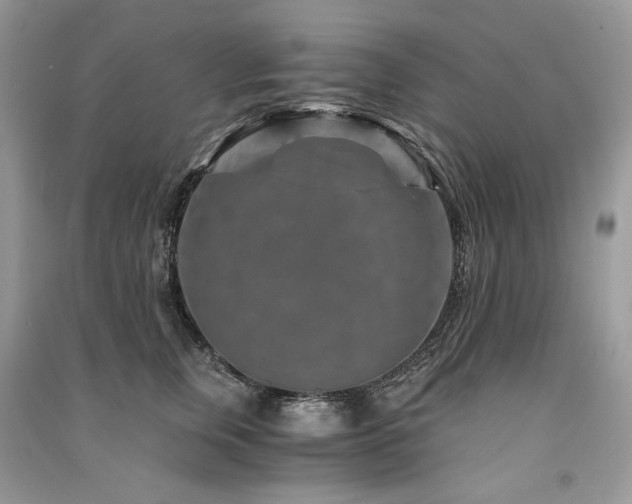 X0000091360759200708101419