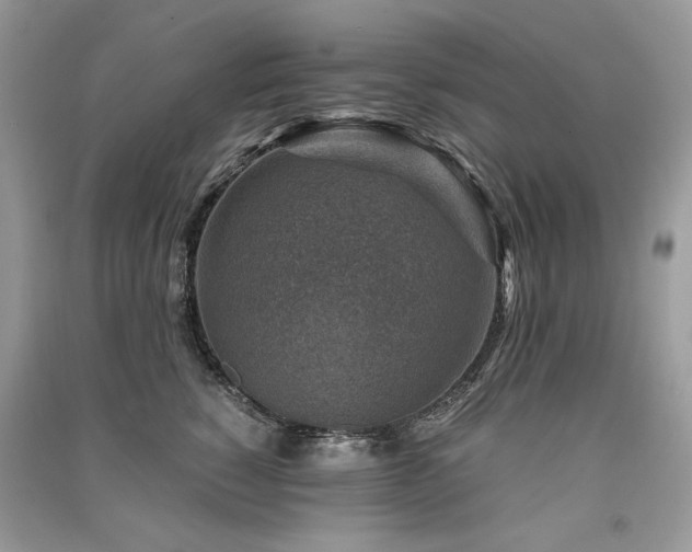X0000091360760200708101419