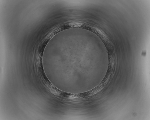 X0000091360761200708101419