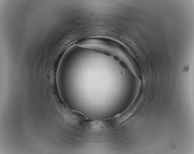 X0000091360762200708101419