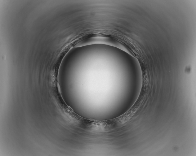 X0000091360764200708101419
