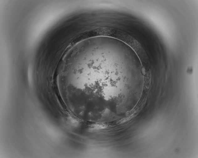 X0000091360765200708101419