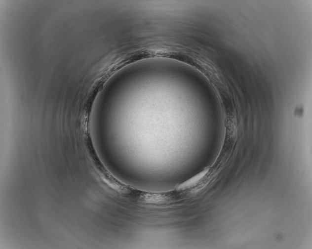 X0000091360766200708101419