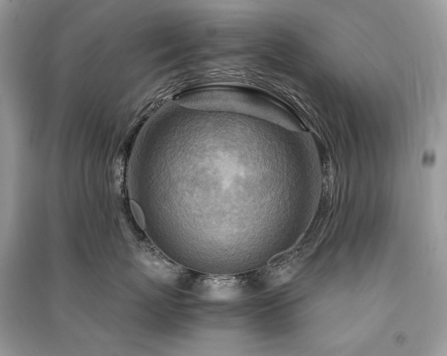 X0000091360767200708101419