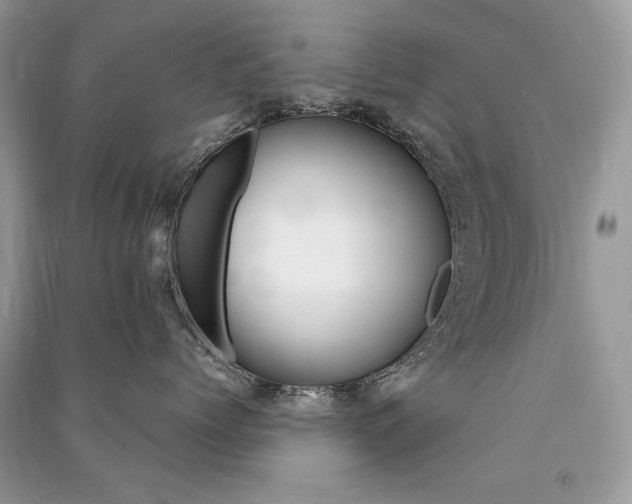 X0000091360768200708101419