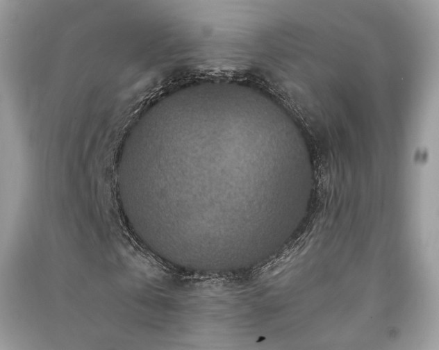 X0000091360769200708101418