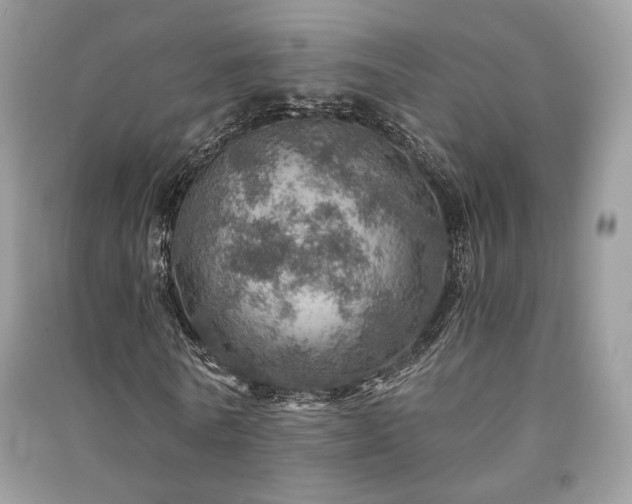 X0000091360770200708101418