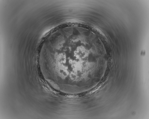 X0000091360775200708101418
