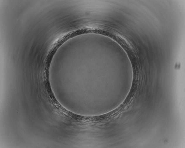 X0000091360776200708101418