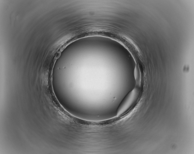X0000091360777200708101418