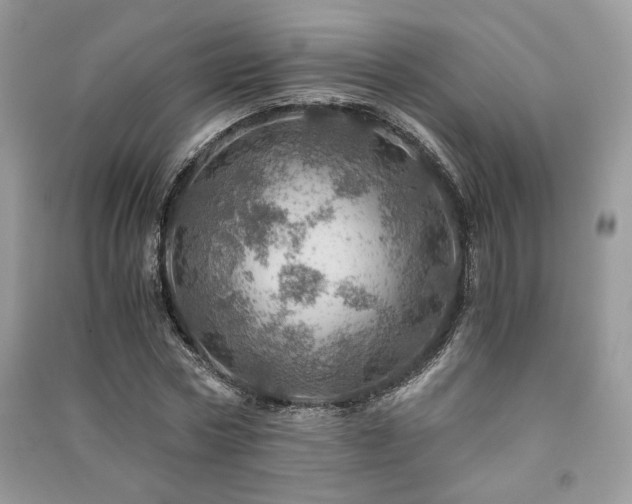 X0000091360778200708101418