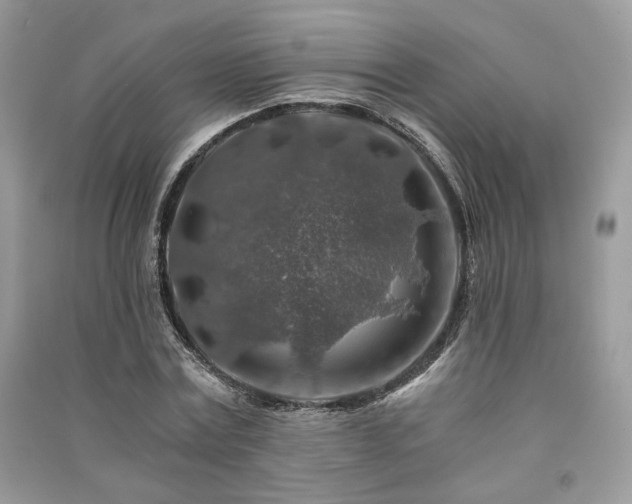 X0000091360779200708101418