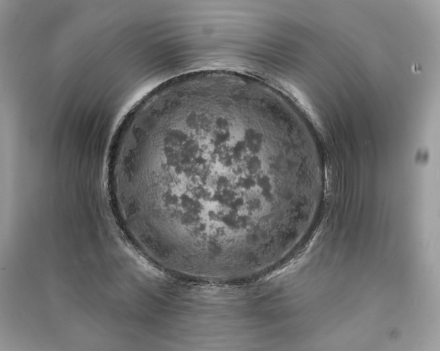 X0000091360780200708101418