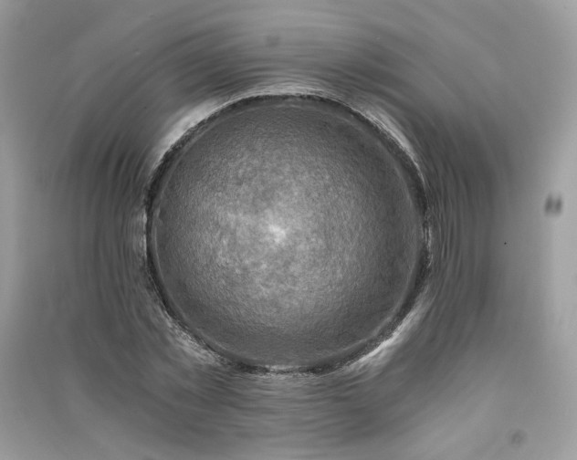 X0000091360781200708101418