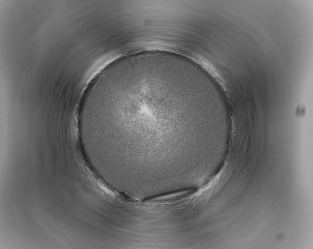X0000091360782200708101418