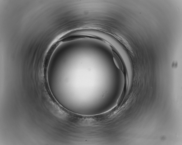 X0000091360784200708101418