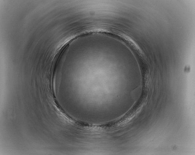 X0000091360785200708101418