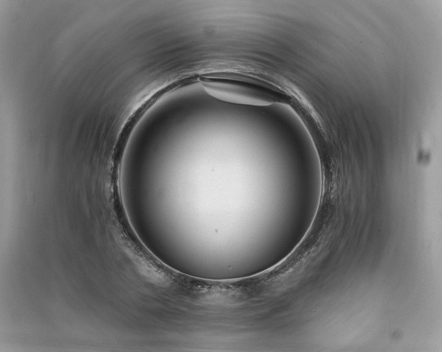 X0000091360786200708101418