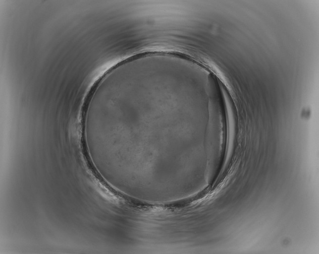 X0000091360787200708101418