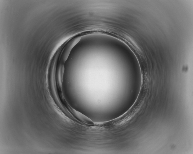 X0000091360788200708101418
