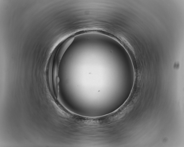 X0000091360789200708101418