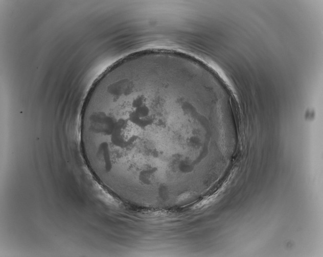 X0000091360791200708101418