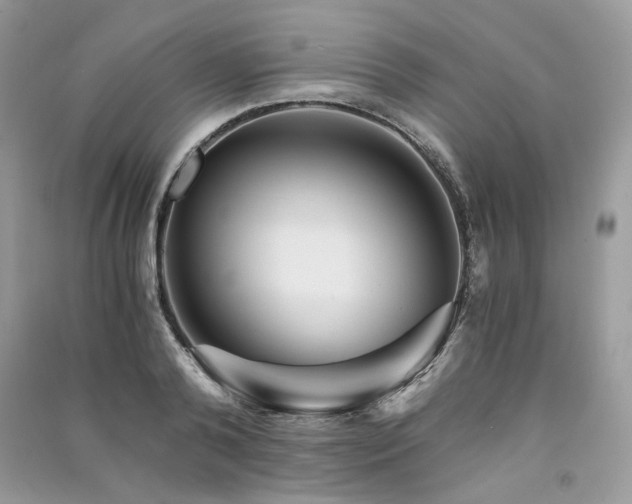 X0000091360792200708101418