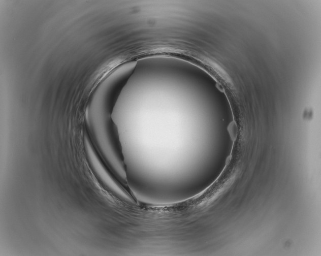 X0000091360793200708101418
