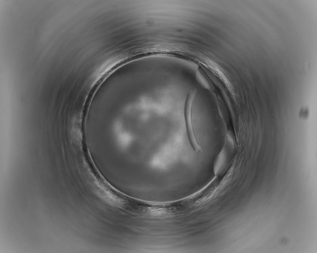 X0000091360794200708101418