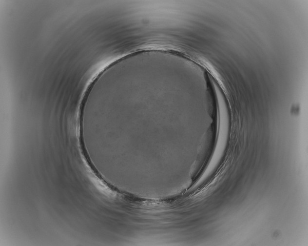 X0000091360795200708101418