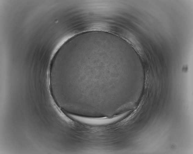 X0000091360796200708101418