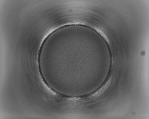 X0000091360797200708101418