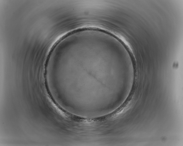X0000091360799200708101418