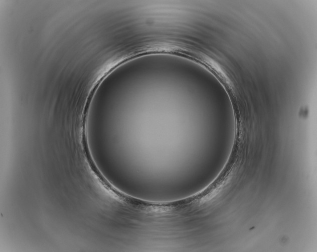 X0000091360802200708101418