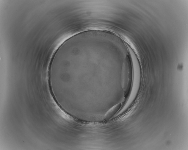 X0000091360803200708101418