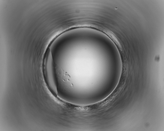 X0000091360805200708101418
