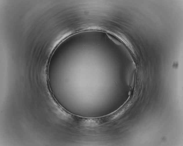X0000091360806200708101418
