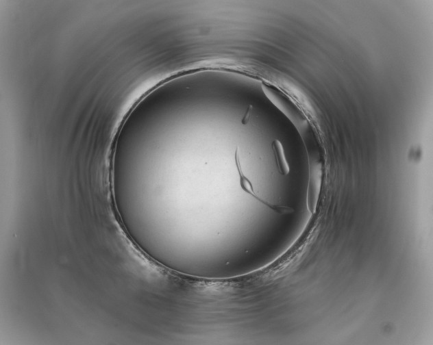 X0000091360808200708101418