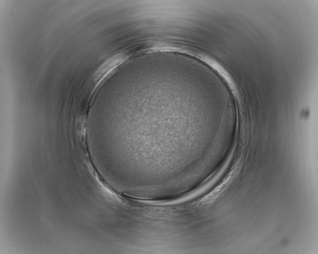 X0000091360809200708101418