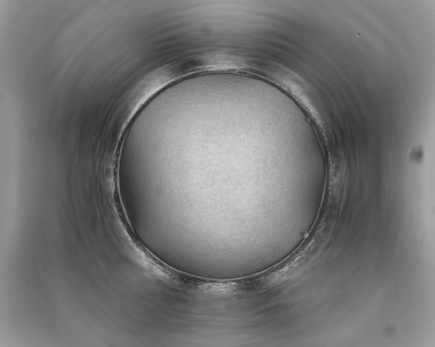X0000091360810200708101418