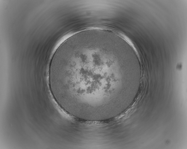 X0000091360811200708101418